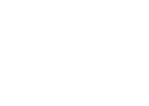 Chepe L Construction